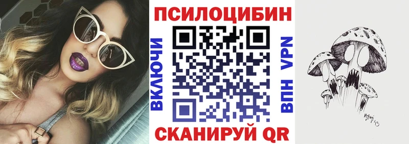 Псилоцибиновые грибы Psilocybine cubensis  как найти закладки  Котовск 