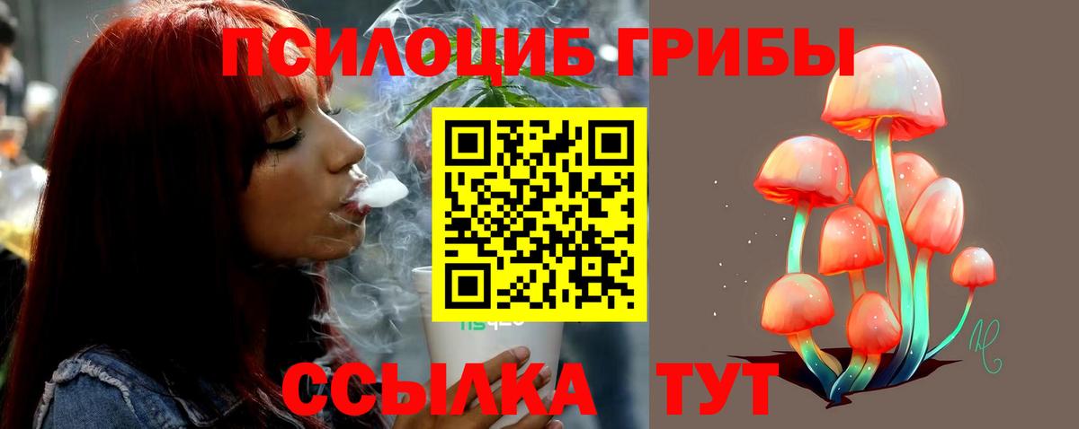 Галлюциногенные грибы ЛСД  Галлюциногенные грибы Psilocybe  Вход с VPN  Котовск 