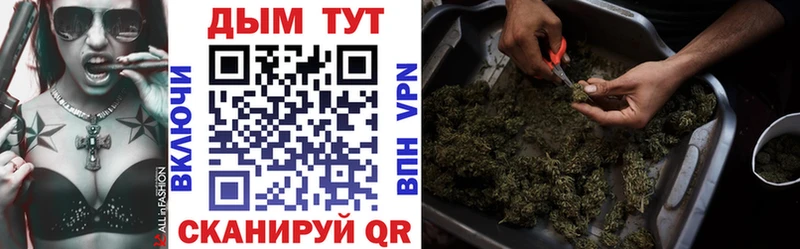 купить наркотики цена  Котовск  Каннабис планчик 